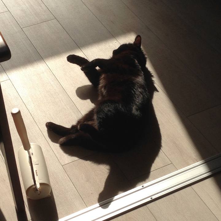 92b01dde 0c5c 4d62 aee6 95ffb825e6f7