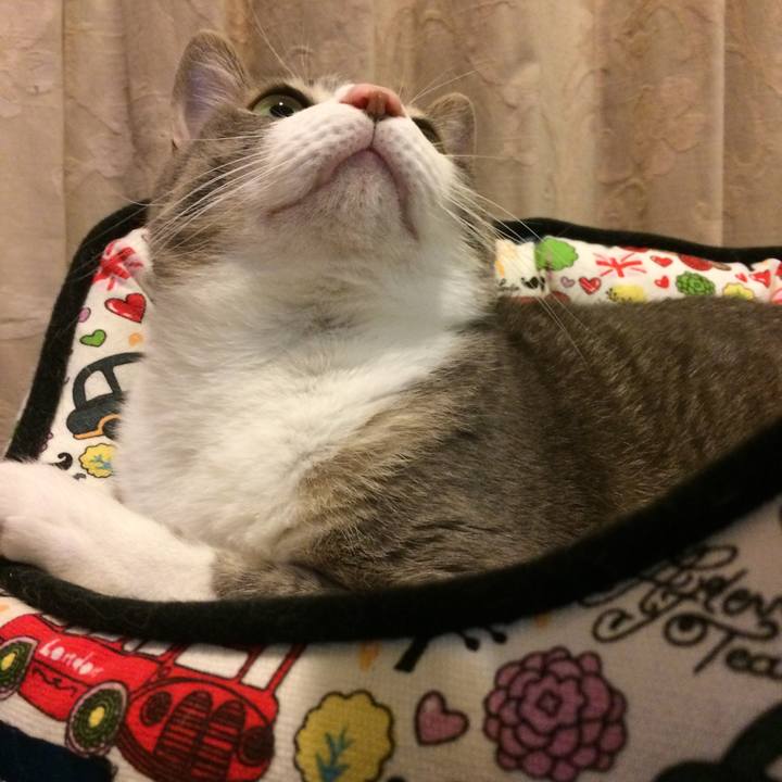 92b04ae0 0410 4998 9047 5337f64a79e7