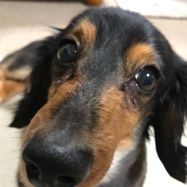 92b0af04 554c 49da b7fc 1253bb71c814