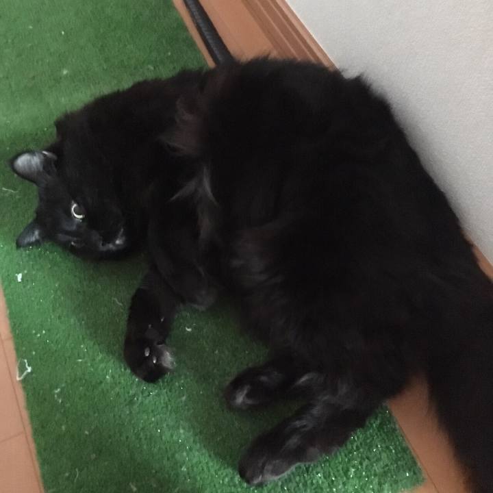 92b182c3 44d4 4f67 b39d 2fdb8e57a737