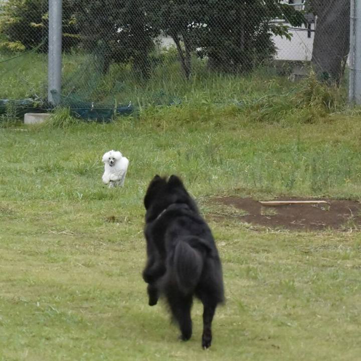 92b1c54f 512d 4b36 9ae1 d91eed1b3c2e