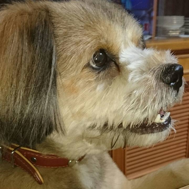 92b1cd36 d57e 47b1 b3dd 8c1f10498d4e