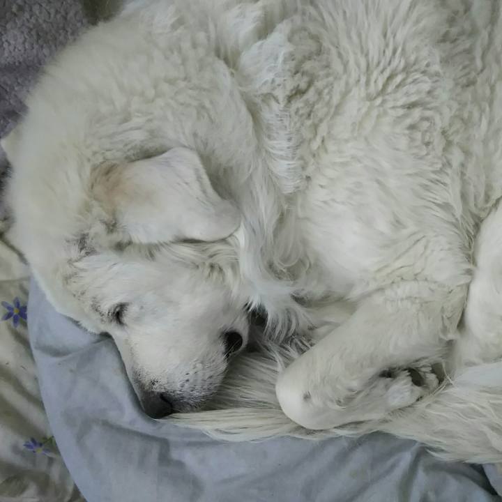 92b25cbe 1753 4951 b89e ab101498ebfa