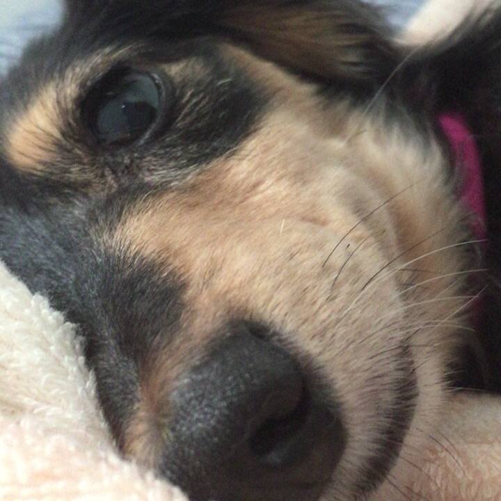 92b25e68 0d2d 4487 a575 8a7f9e7e3504