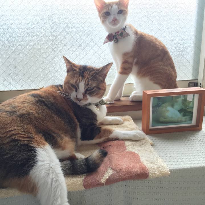 92b28322 7027 4088 a174 948468a0b0e1