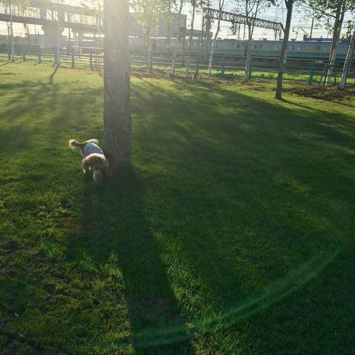 92b2ddf8 bd79 4fd9 b36f d23add59a1d6