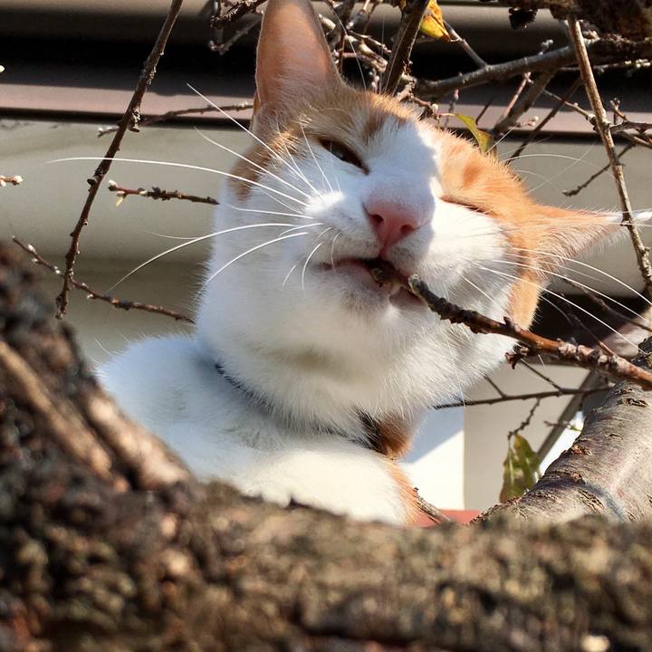 92b31e2f 7b60 4df0 af2e 3309105721e5