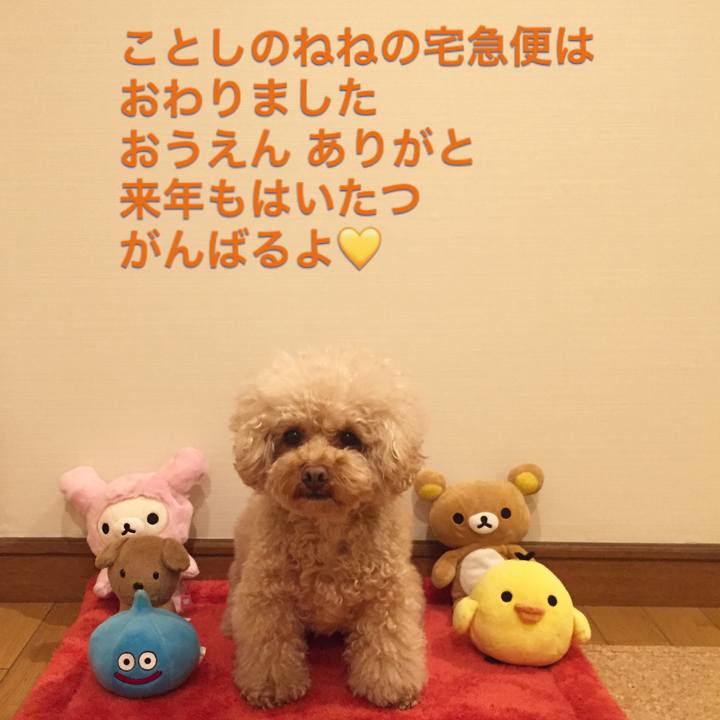 92b37d31 d775 495e 8f0e e477218793ff