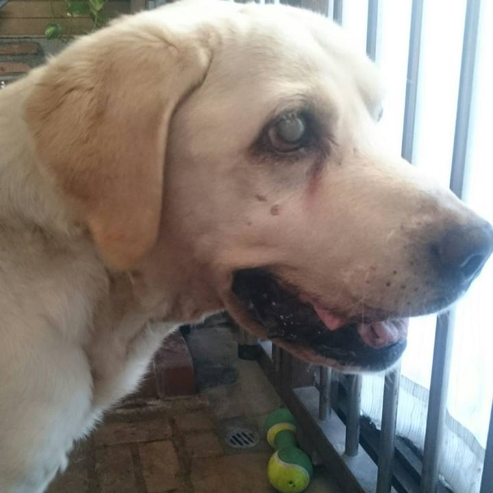 92b3e0e0 b281 49a6 8268 d677eedbbd16