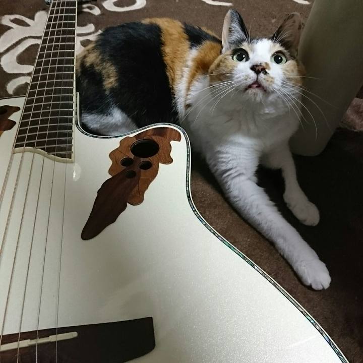 92b40a2f f893 4627 b534 2d12db9370b0