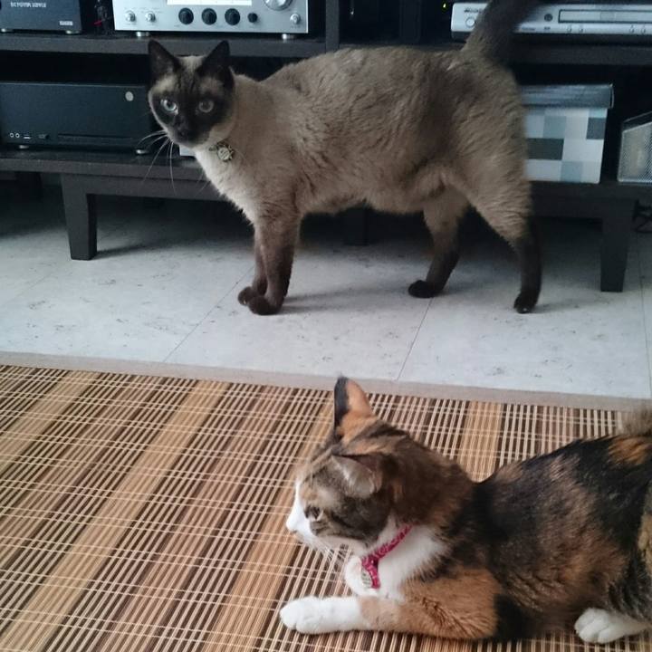 92b52530 834a 4e1d 9730 ef2b8649b5f5