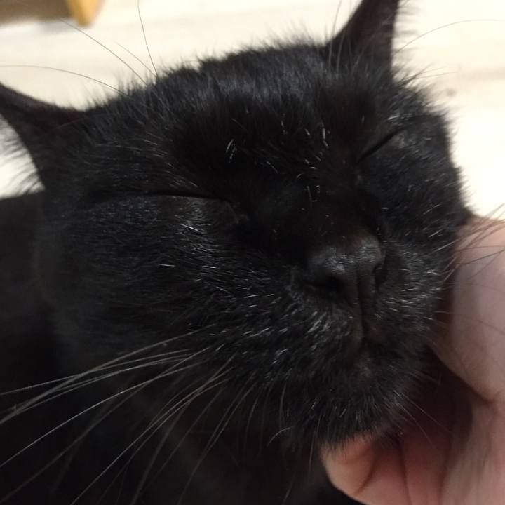 92b56a60 3a53 442b 85ac 9d71123061b8