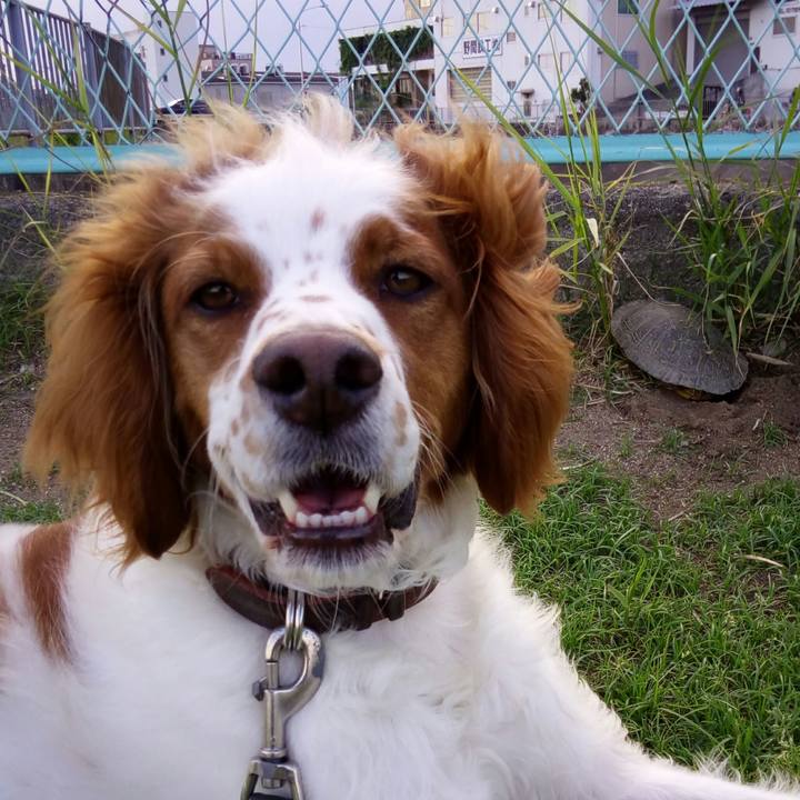 92b63093 961c 40ae 88d7 7904ecc0635d