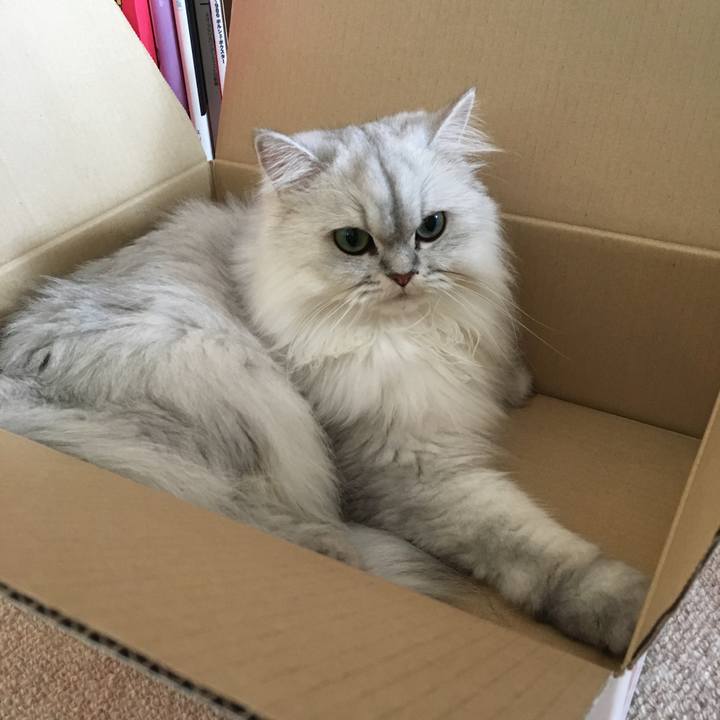 92b64803 e691 422f 8c5c 9b15657c47fc