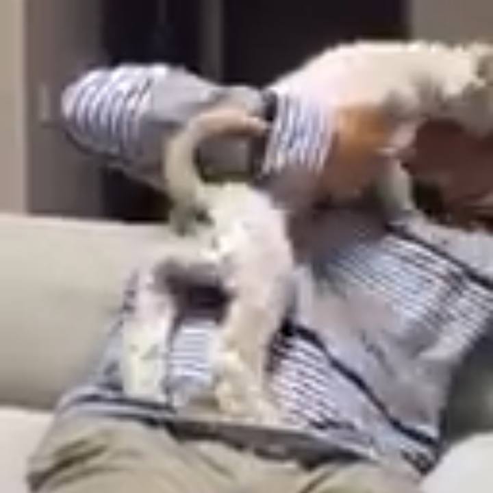 92b7365b e959 49fc a527 1fc32804b908