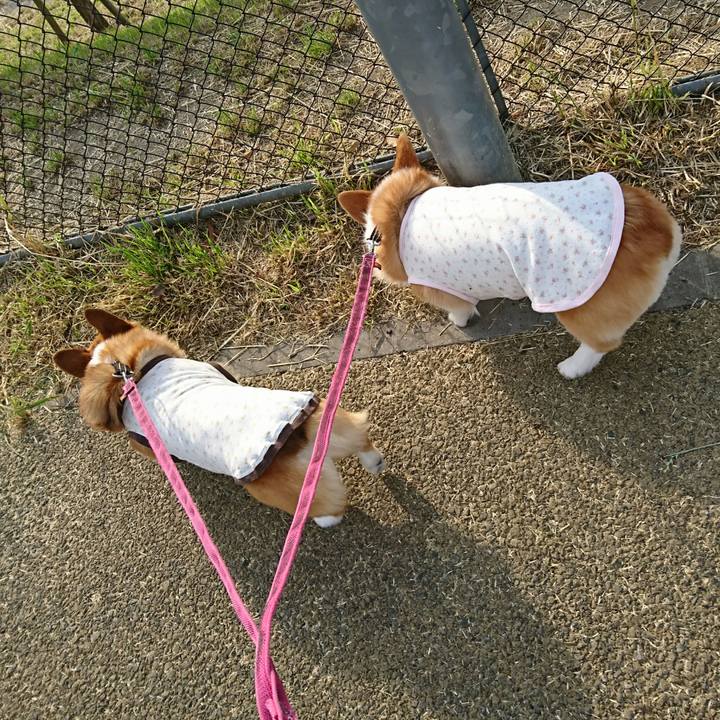 92b74068 ee95 4a00 a39c 6ad57976515c