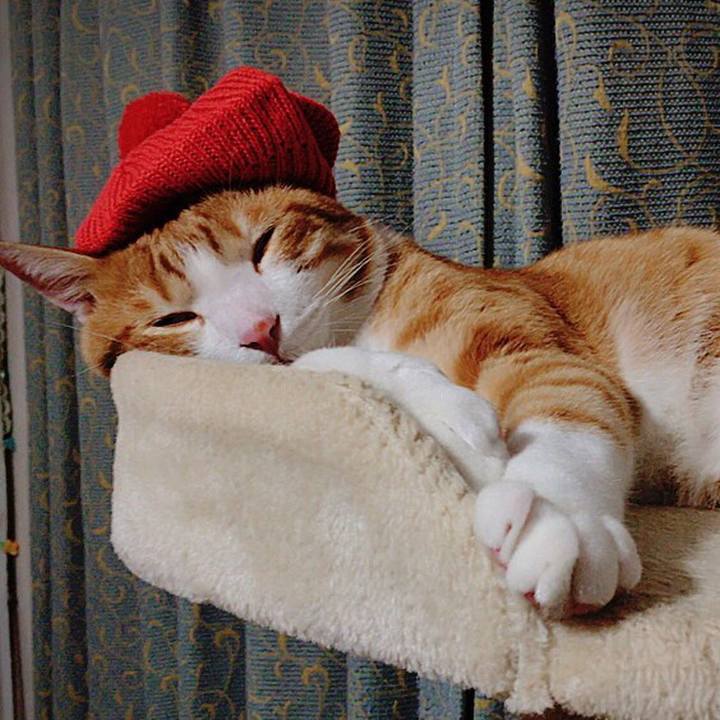 92b77e4d cadf 42ec 9de5 e6accb39a30e