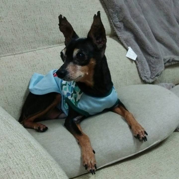 92b88ecd 5cbf 41ed 90f6 3202ded55318