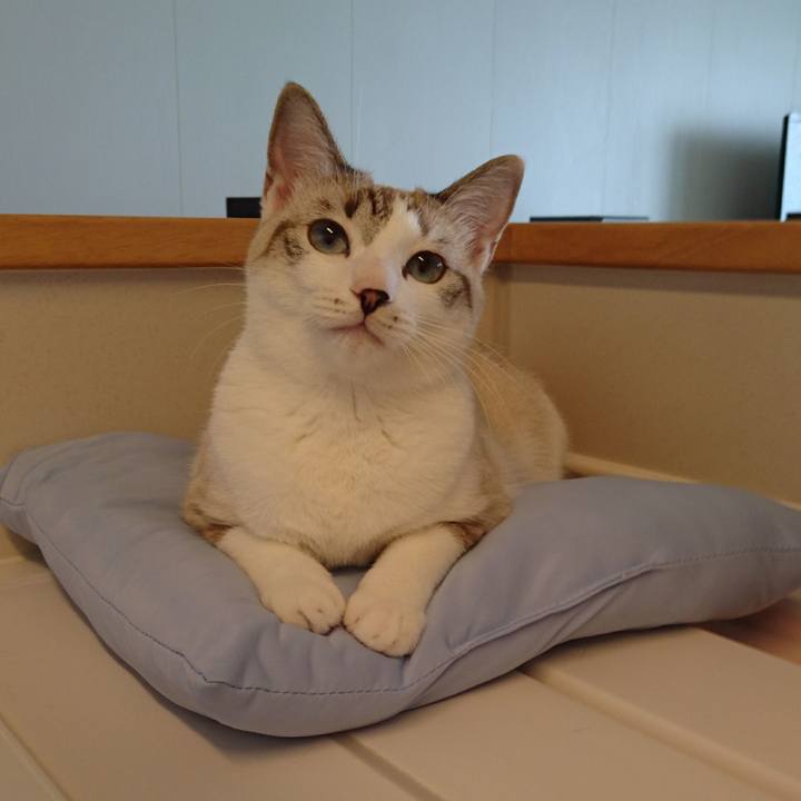 92bbcf1d 069a 4a0d 9ff0 a7f1b23bb35d