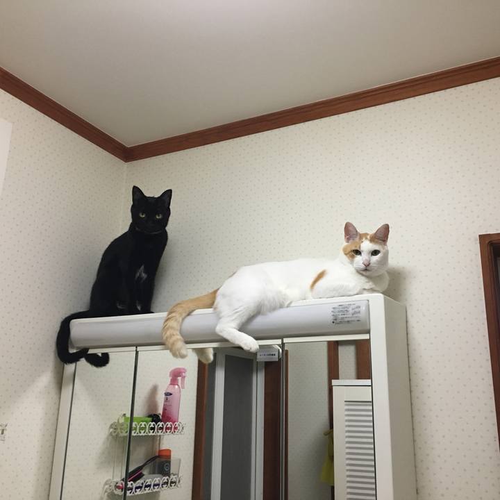 92bbece9 f82e 4313 8bbe 4e0774cf60c1