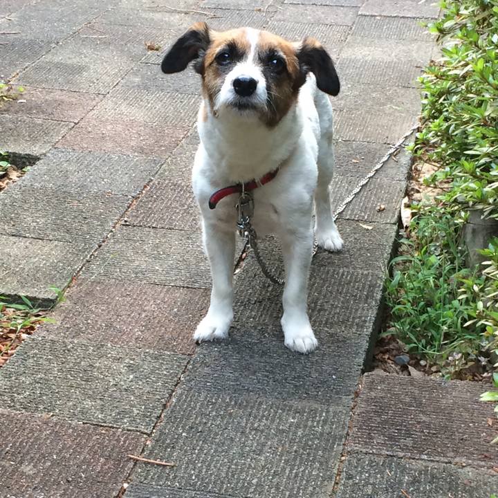 92bc5f33 285f 4d86 b33a b924b920bf87