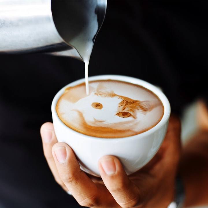 92bc9df5 1d7d 4f86 9a59 e69879f31cce