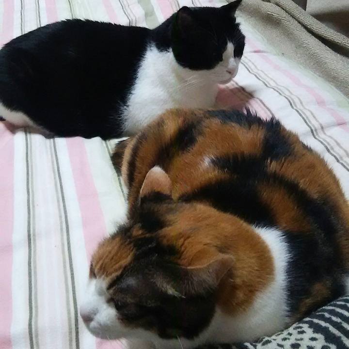 92bcc73e a4fd 4345 87e7 6a1b4024588b