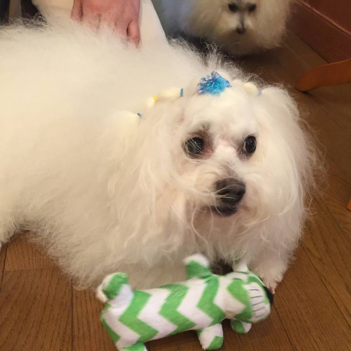 92bce91c 5a1e 4cd4 b7f6 b9b8df04cbb8