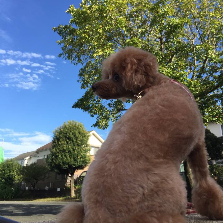 92bd1705 d363 4975 8de4 0aacf82e4979