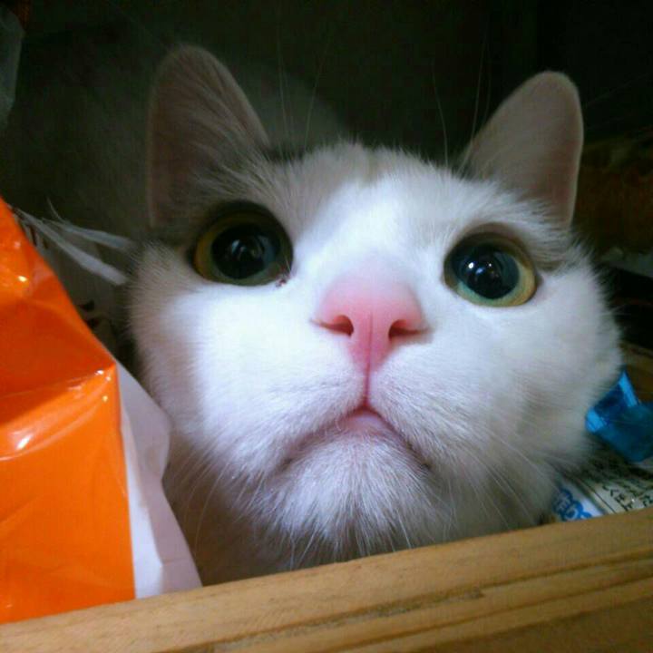 92bd1c47 9db5 4c24 80a9 ca3ab739f8eb