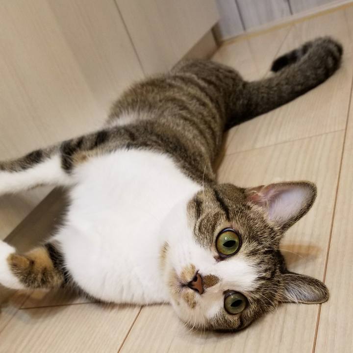 92bd8384 39ec 4639 b6cd 779fdece56b6