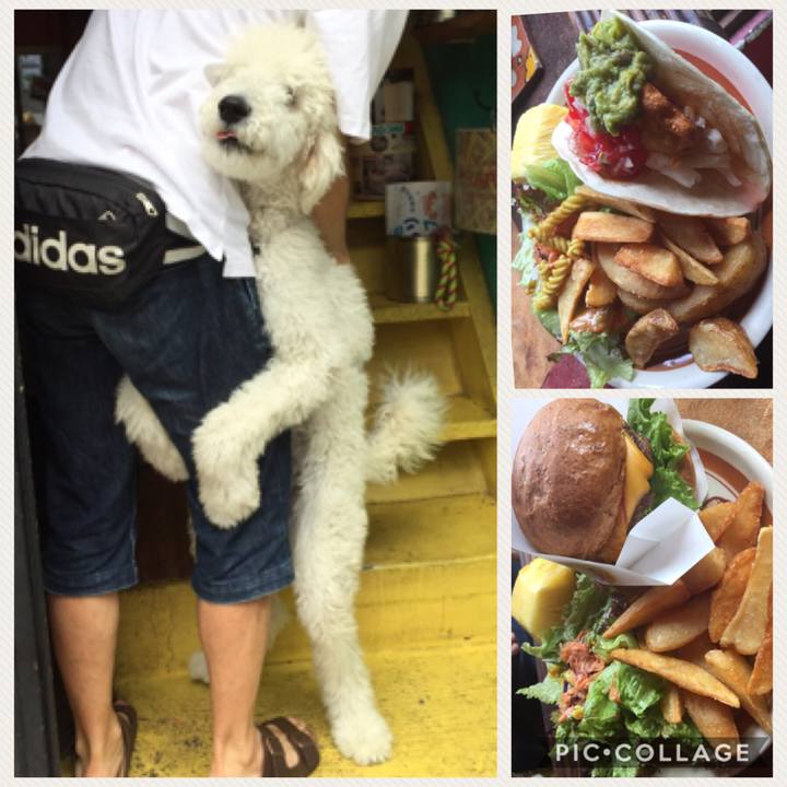 92bd9816 d0a1 4518 8297 6df5fa6ec2f9