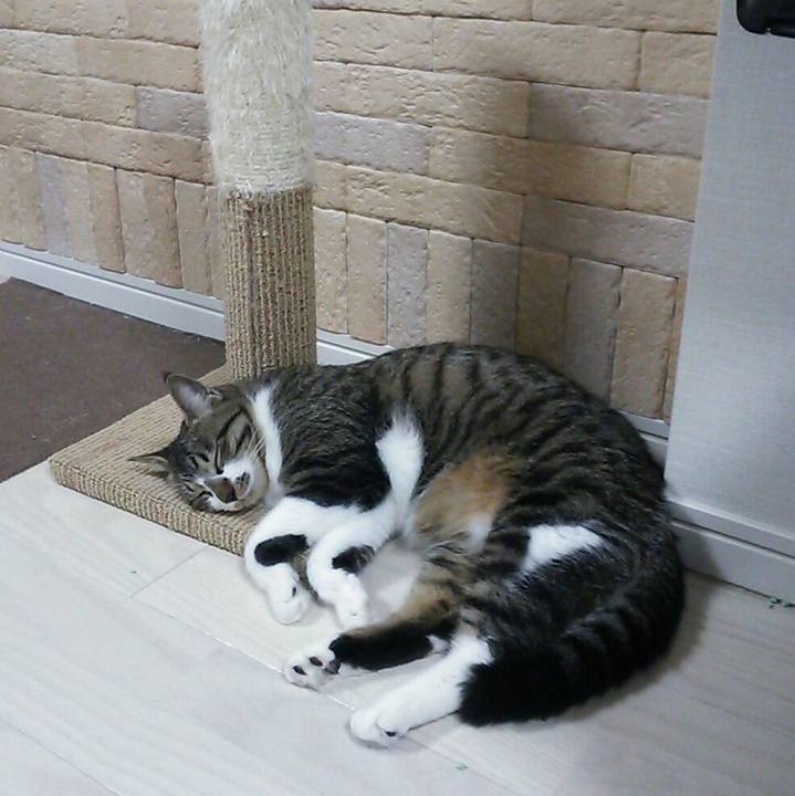 92be5883 a9a7 4b21 88da 954b6f9ceb20