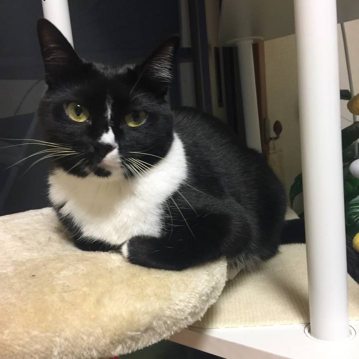 92bfab4c edf6 497b a1b1 b5579760779c