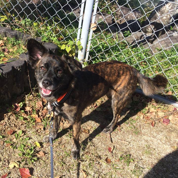 92c0773c 78ef 48e4 985b 0b7664b7d4d6