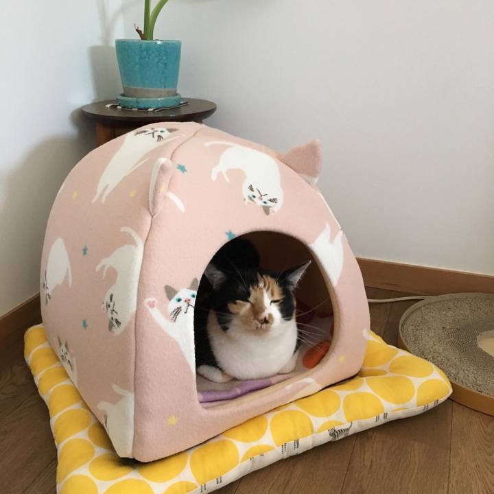 92c154b2 c3bf 490c 80cc d1e7c5597fcd