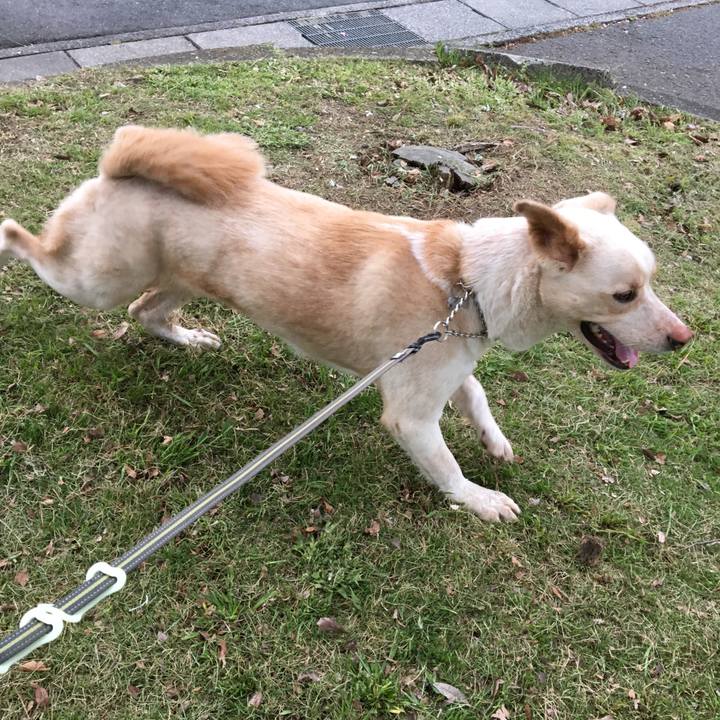 92c1d7a3 3b52 48a9 b153 3bea4bd52a66