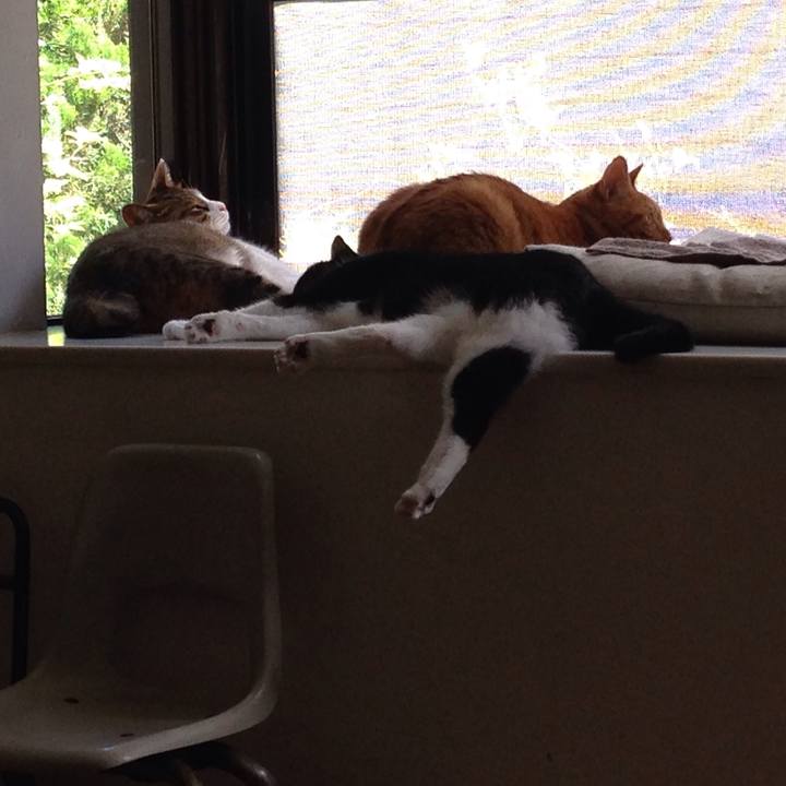 92c2775a e603 40ab a7dd 7670c0e11b12