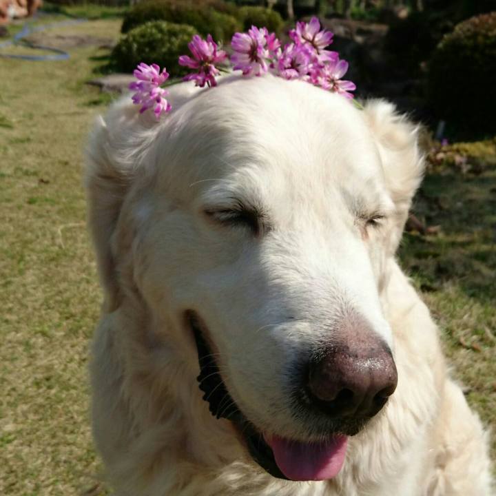 92c29e76 afe1 4188 9065 2d7598c53912