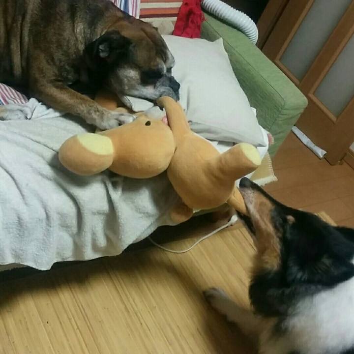 92c3cdca 06a2 4c39 b71f 2488690d8bcb