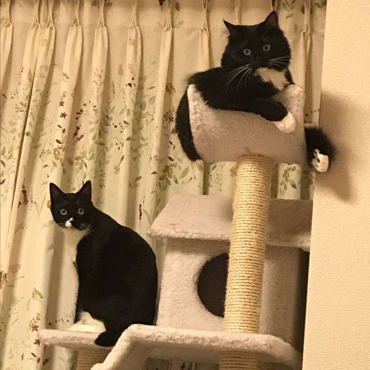 92c497ba 6ea0 45b1 91b6 d63e8131cd8c