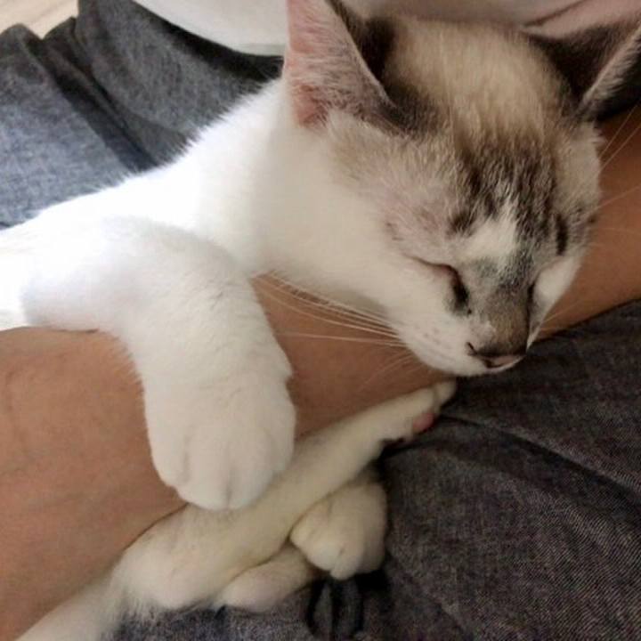 92c4f482 cb59 4eae 8829 b05cee1e2d70