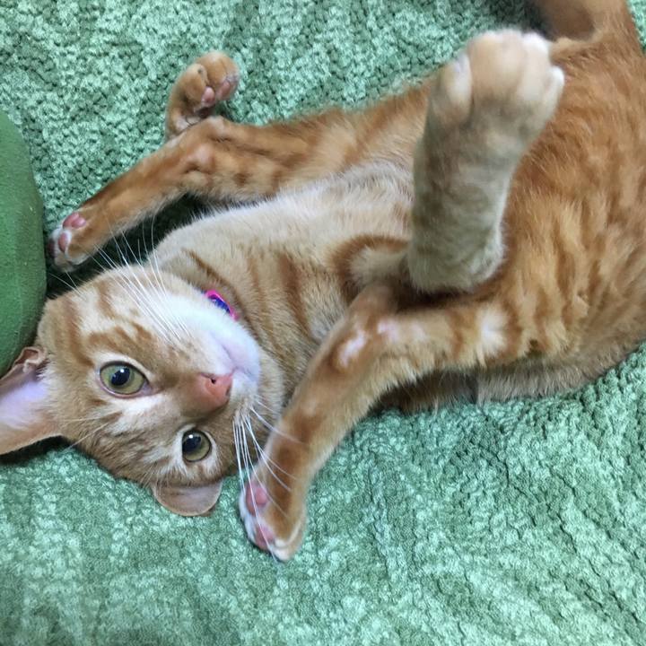 92c52708 1dc5 4065 8261 057206314651