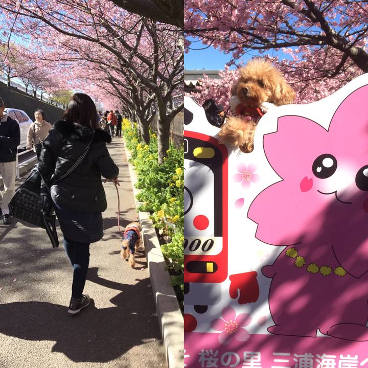 92c57cfe 82da 4b3a 9e96 0e4487690361