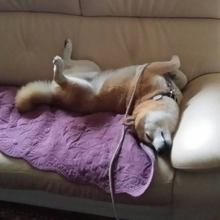 92c6353d 9611 4862 ada6 f0c2b9ad6367