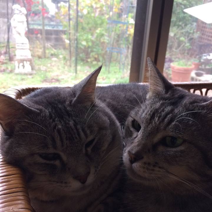 92c64a4b bbde 4b1c af9e e39ed5718619