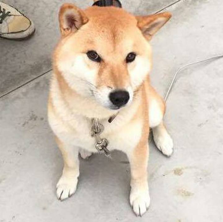 92c6a76d 1d5d 4f45 8c69 6378e44f0713