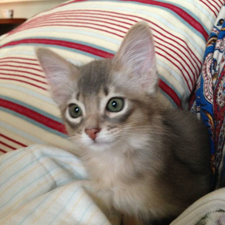 92c6ef2b 67e8 4445 9794 985ee57d2975