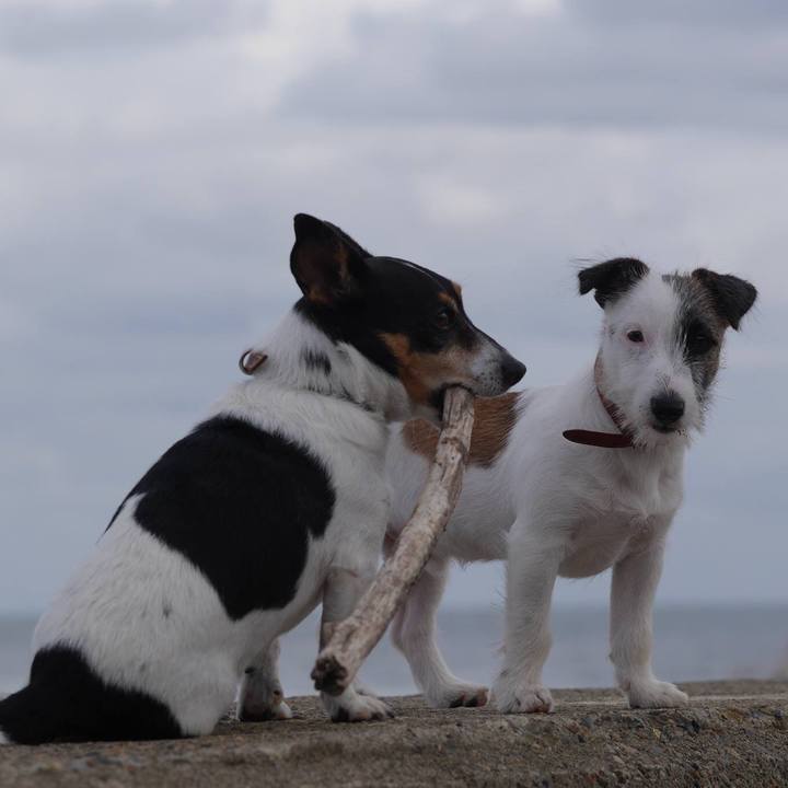 92c7e685 0bf1 4c6d 88d6 8b8d383ffc58