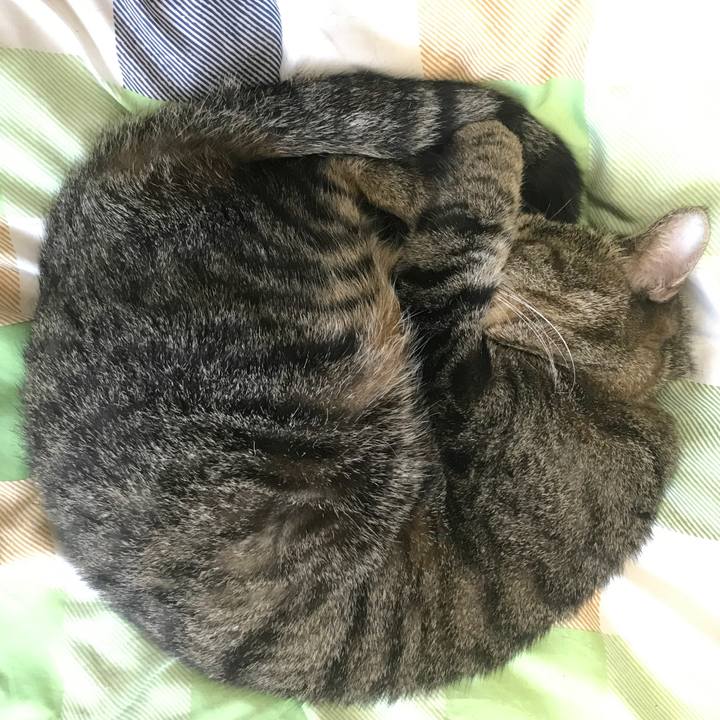 92c7e735 4fd5 4ffa 83a4 8f5913d2daf9